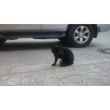 Дикая фауна - 08.jpg